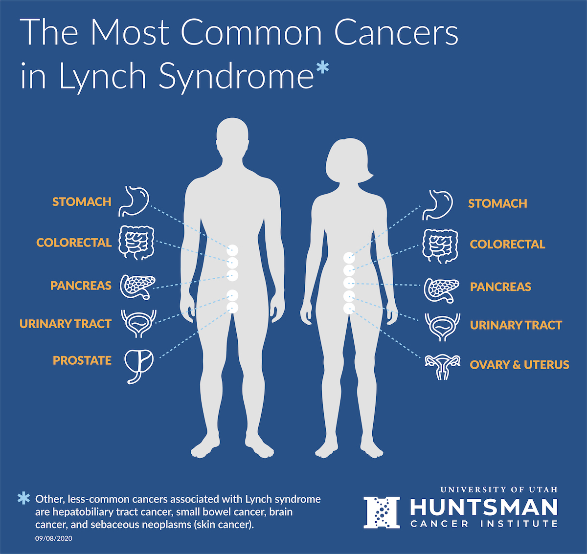 A male and female body silhouette with most common cancers in Lynch Syndrome