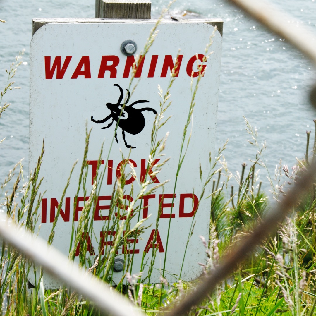 Warning Tick Infested Area