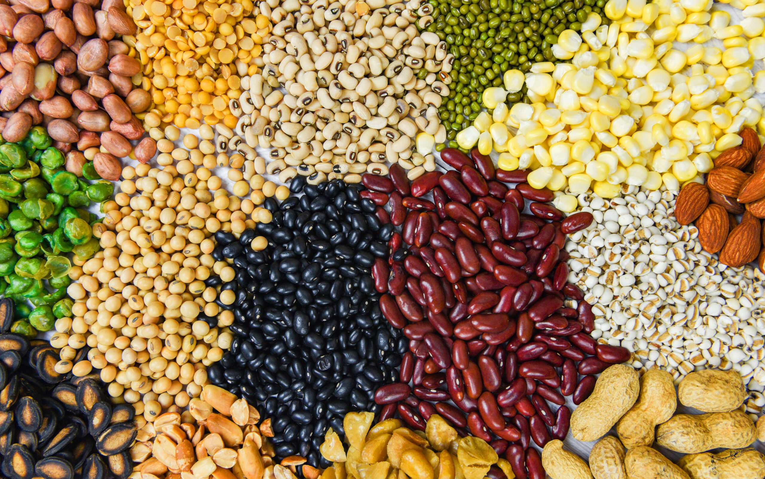 legumes, nuts, seeds, and whole grains